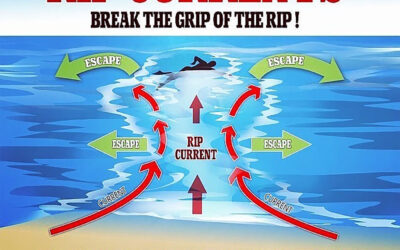 What are rip currents and why have they been so deadly?